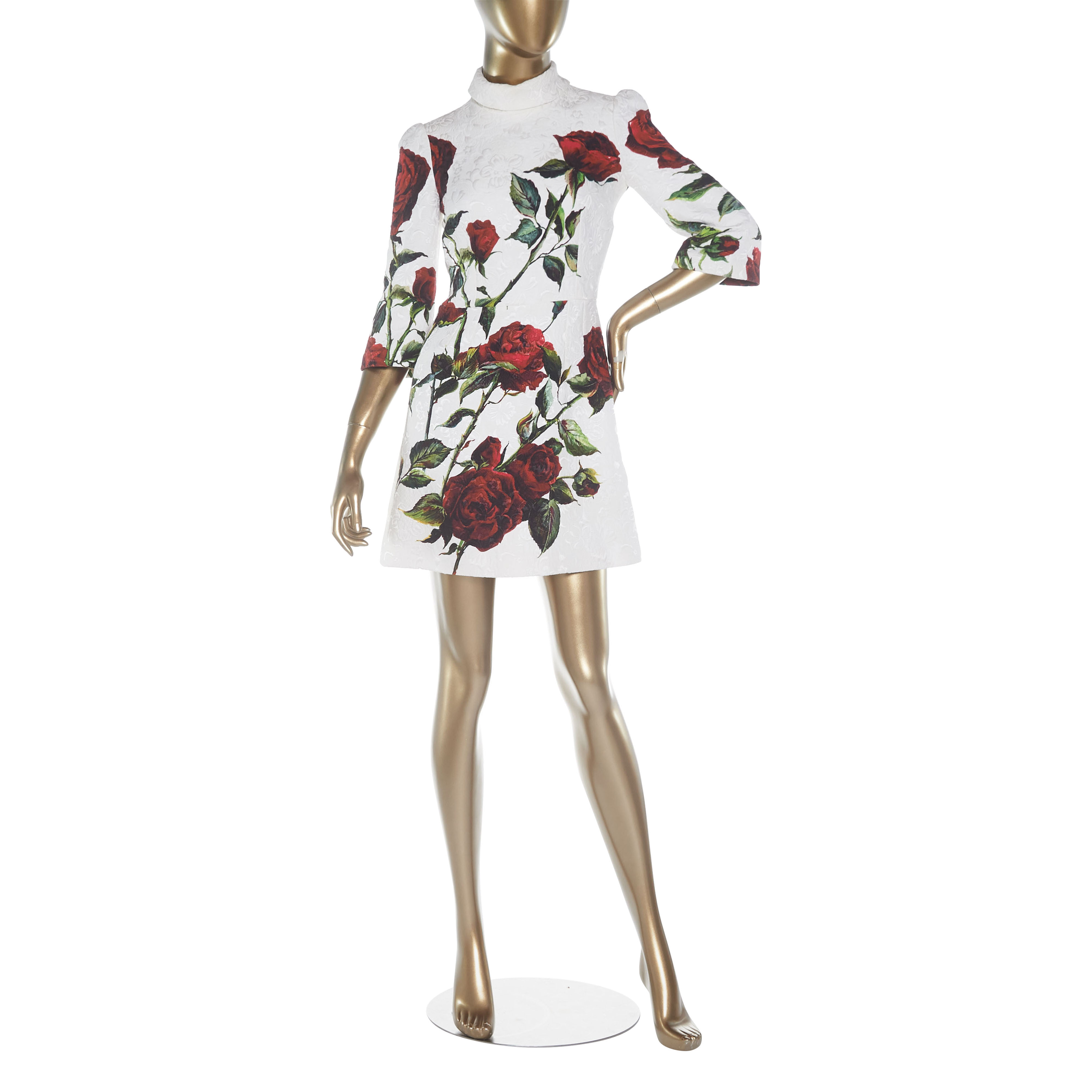 sagsøger måske Andre steder Dolce & Gabbana Rose Printed Dress - Janet Mandell